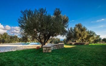 Abelia Luxurious Finikounta