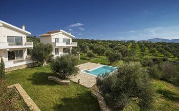 Abelia Luxurious