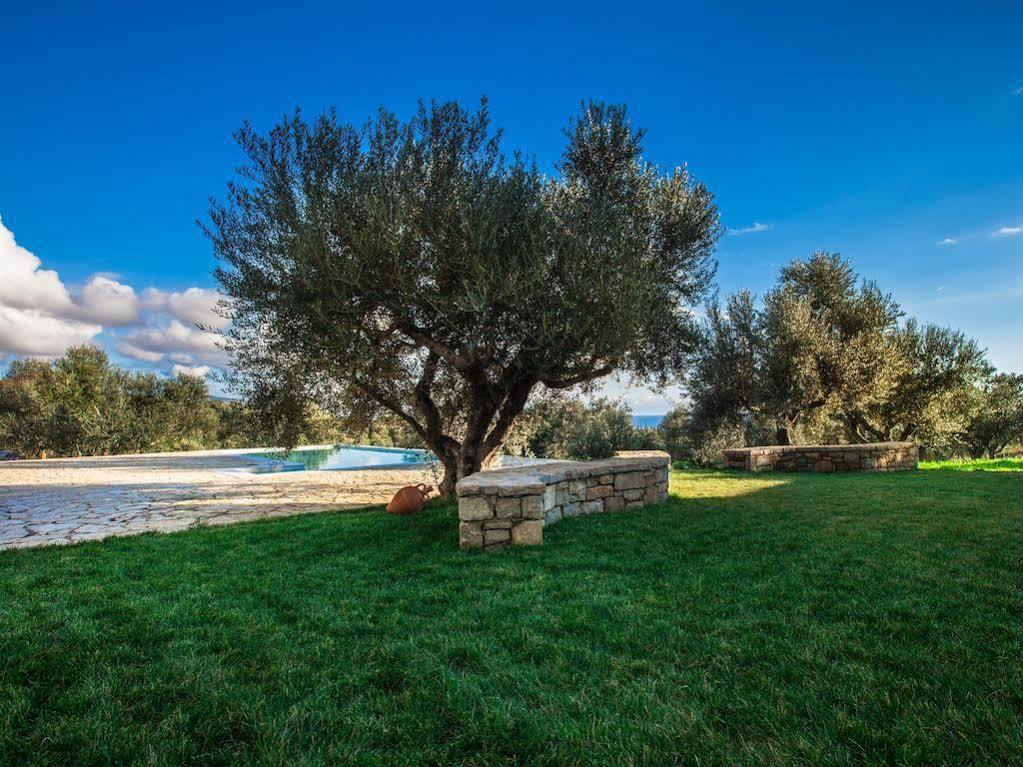 Abelia Luxurious