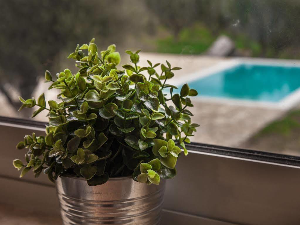 Abelia Luxurious Apartment