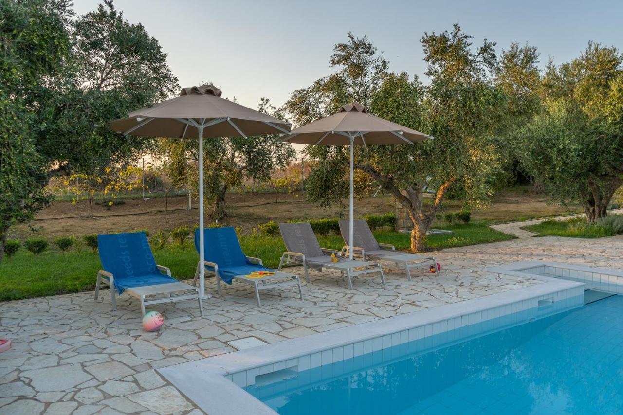 Abelia Luxurious * Finikounta