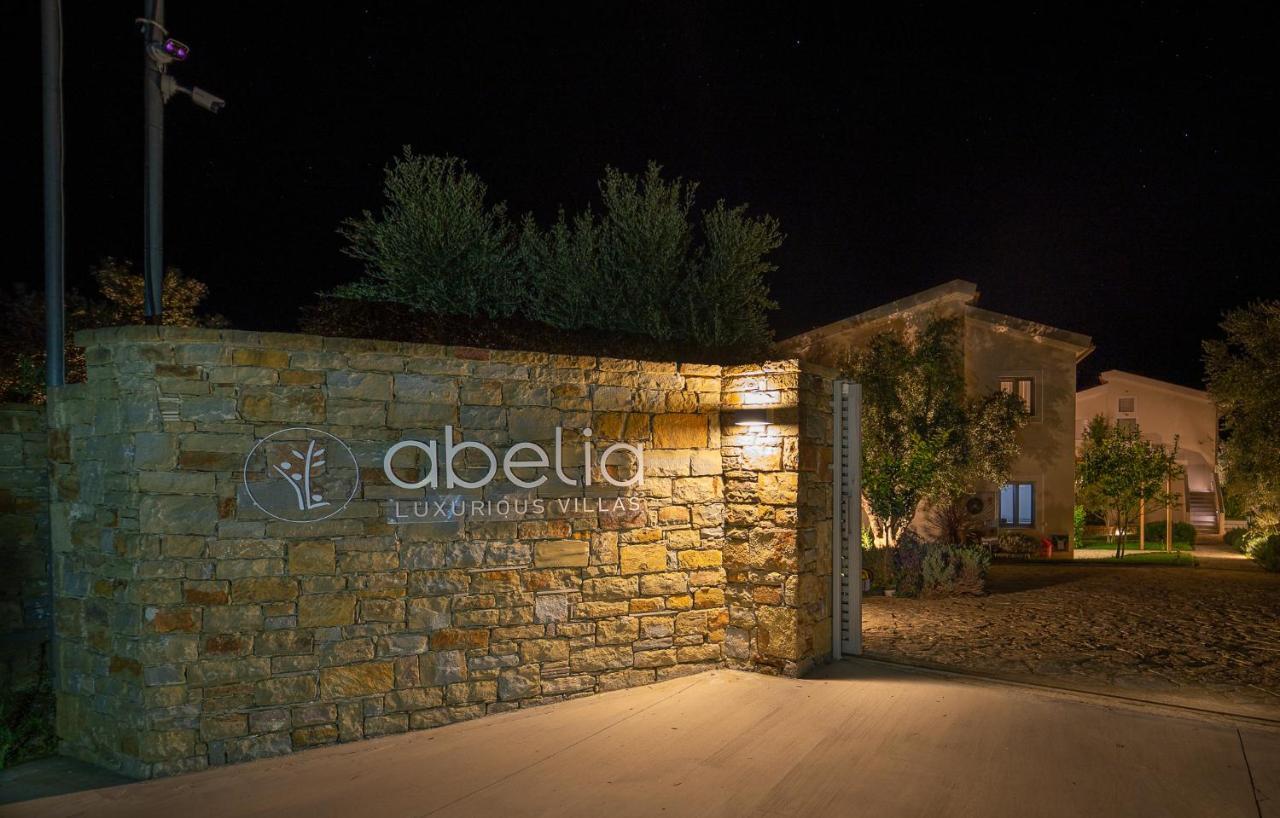 Abelia Luxurious * Finikounta