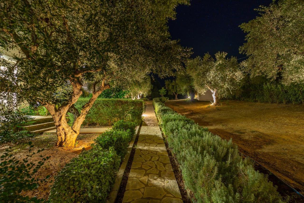 Abelia Luxurious * Φοινικούντα