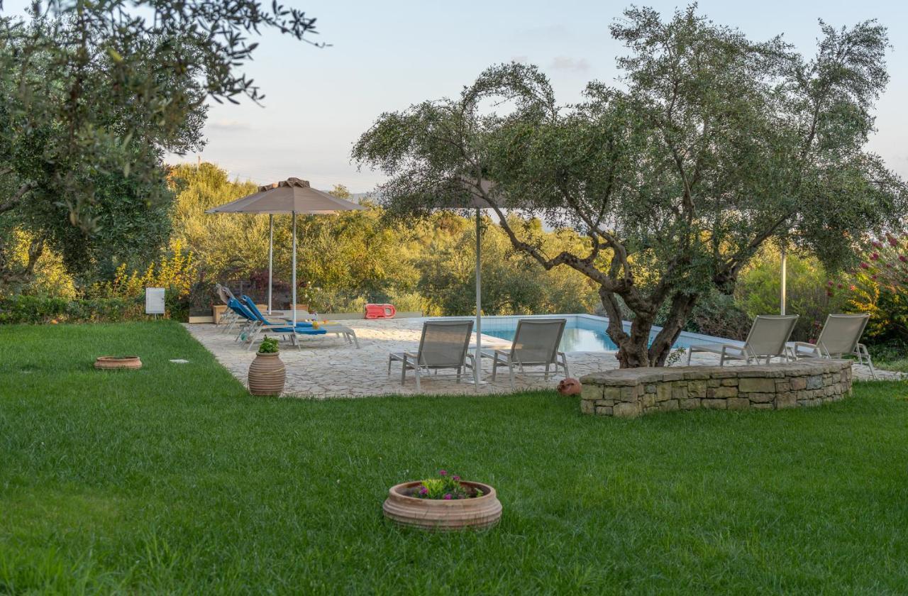 Abelia Luxurious * Finikounta