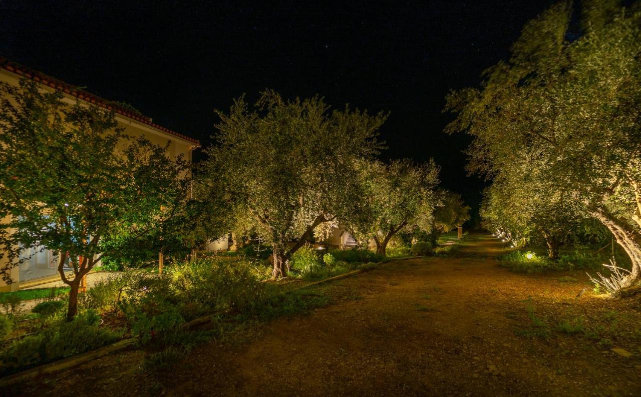 Abelia Luxurious Διαμέρισμα *