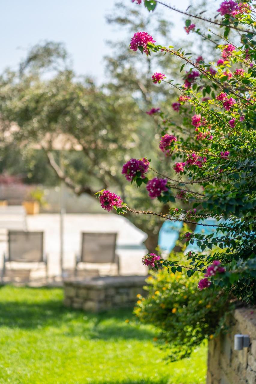 Abelia Luxurious Διαμέρισμα *